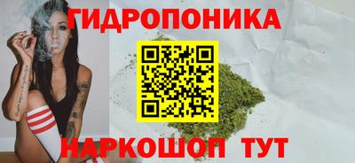 PSILOCYBIN Бугуруслан