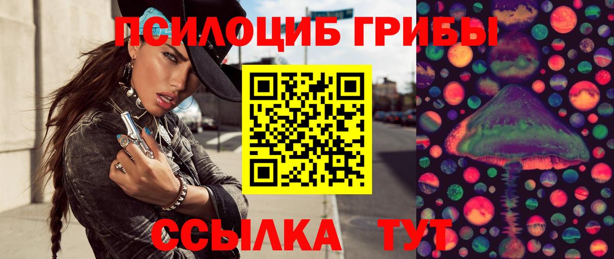 Галлюциногенные грибы GOLDEN TEACHER  Вход с VPN  Заринск 