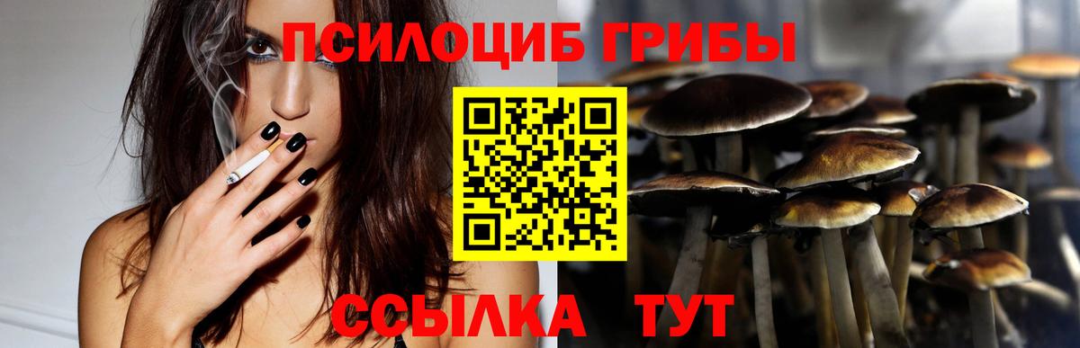 Галлюциногенные грибы MAGIC MUSHROOMS Заринск